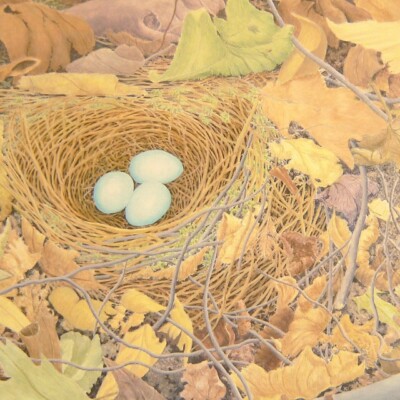 Alan Bray: Inhabited Landscape presented by Garvey | Simon