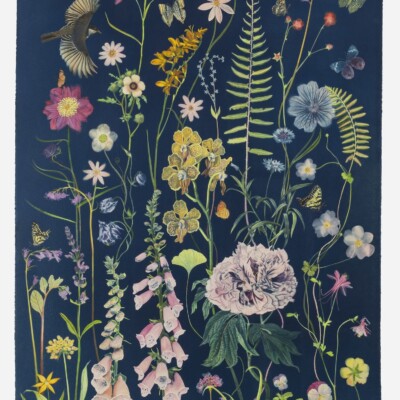 Picturesque Botany at HG Fine Art