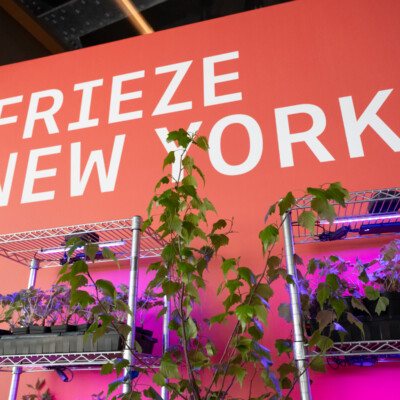 AWAD Goes to Frieze New York